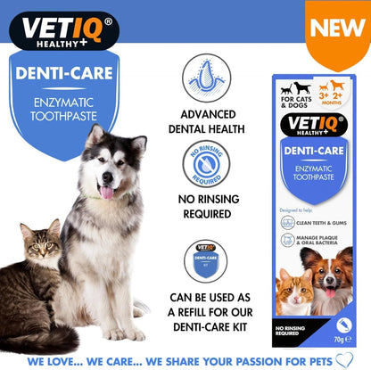 VETIQ | Denti-Care | Enzymatic Toothpaste for Dogs &amp; Cats | Plque Remover | 70g