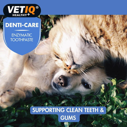 VETIQ | Denti-Care | Enzymatic Toothpaste for Dogs &amp; Cats | Plque Remover | 70g