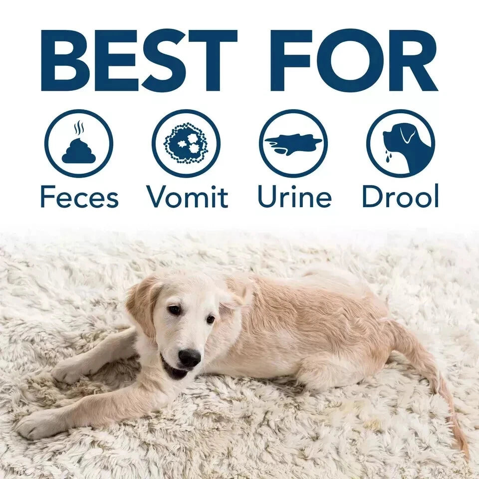 Simple Solution Extreme Dog Stain and Odour Remover Enzymatic Cleaner 3X P